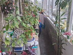 Militari Veteranilor